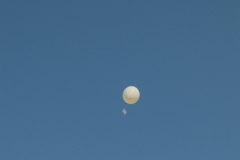 SP2PR_FX301517