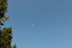 SP2PR_FX301529