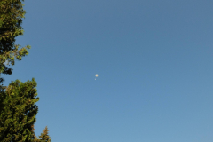 SP2PR_FX301530