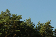 SP2PR_FX301536