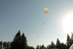 SP2PR_FX301843