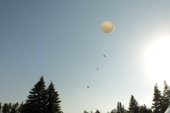 SP2PR_FX301844