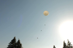 SP2PR_FX301846
