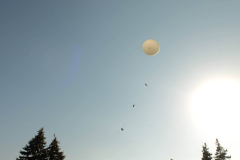 SP2PR_FX301847