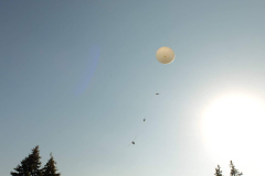SP2PR_FX301848
