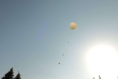 SP2PR_FX301849