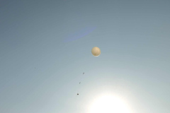 SP2PR_FX301852