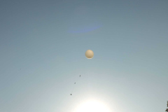 SP2PR_FX301853