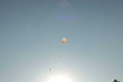 SP2PR_FX301854