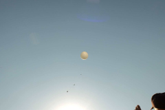 SP2PR_FX301855