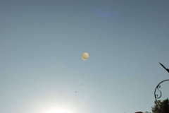 SP2PR_FX301857