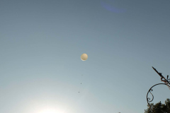 SP2PR_FX301858