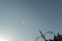 SP2PR_FX301864