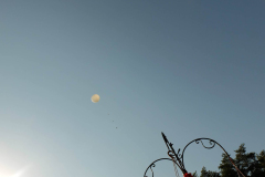SP2PR_FX301865