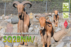 sq2bnm_spfffront