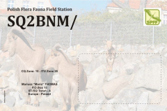 sq2bnm_spfftyl