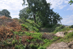 Fort-IV-lipiec-2015-033