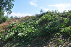 Fort-IV-lipiec-2015-053