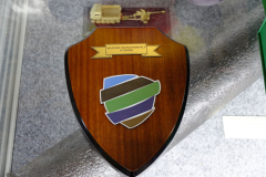 FX303713