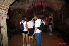 6V6A2156