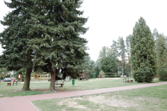 GR312276