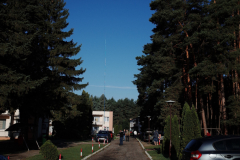 GR312317